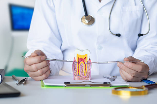 Best Dental Abscess Treatment in Howell, MI